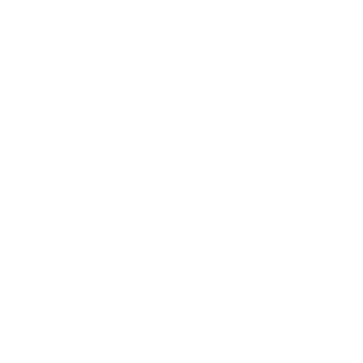 vision white icon