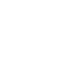 Car Repair white icon